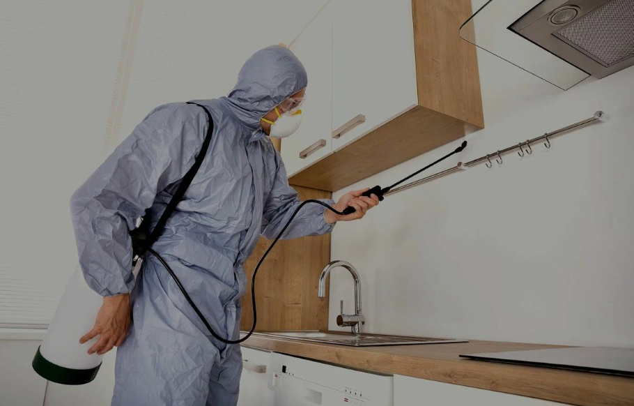 Ceres pest managment